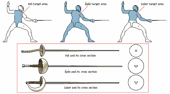 Foil, épée and saber: Cross section and target area